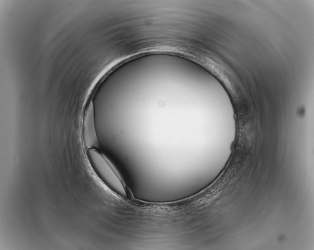 X0000098201092200805081105