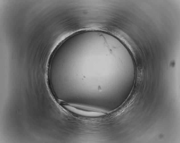 X0000098201093200805081105