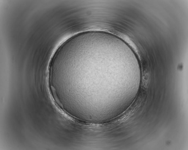 X0000098201096200805081105