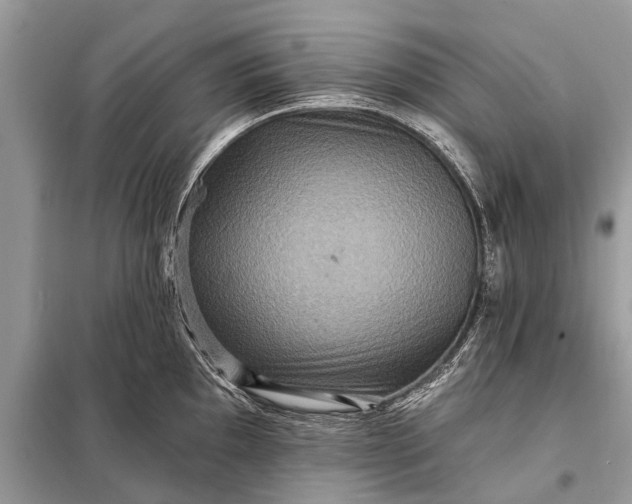 X0000098201097200805081105