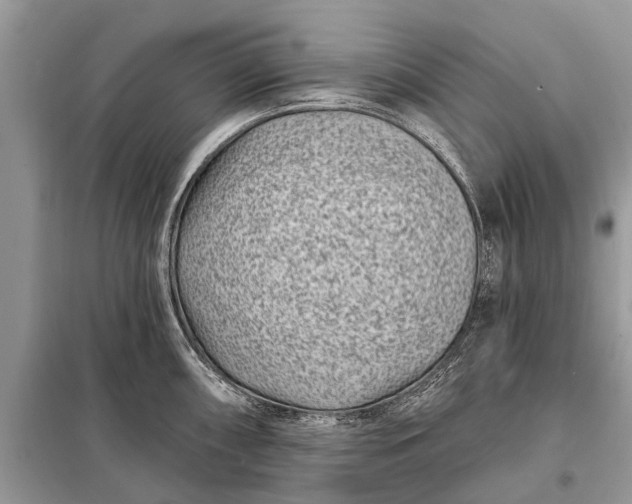 X0000098201098200805081105