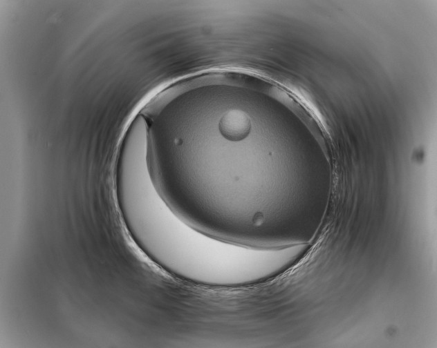 X0000098201100200805081105
