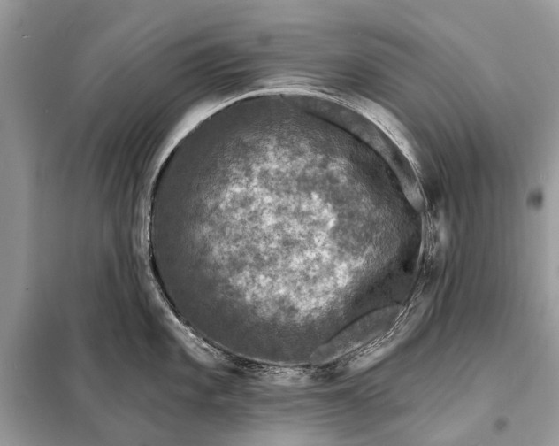 X0000098201101200805081105
