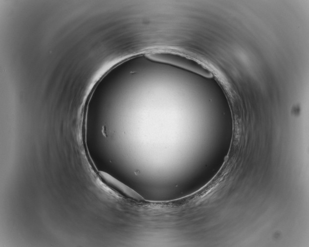 X0000098201102200805081105