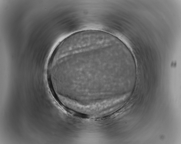 X0000098201104200805081105