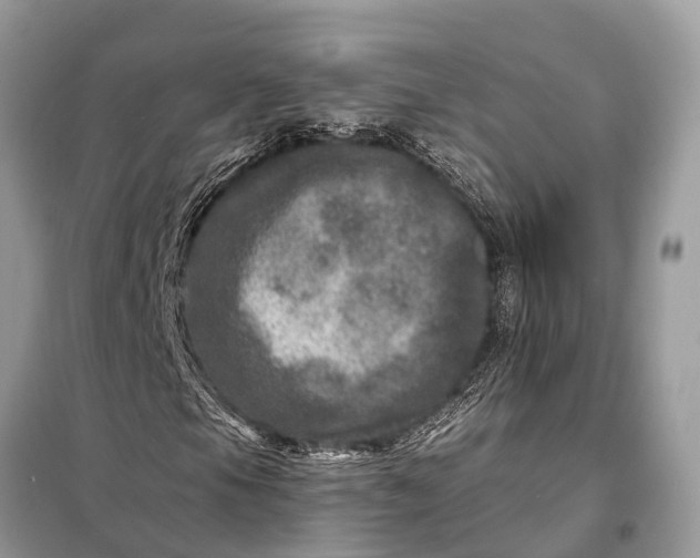 X0000098201105200805081104