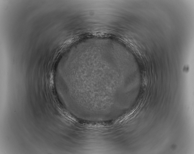X0000098201106200805081104