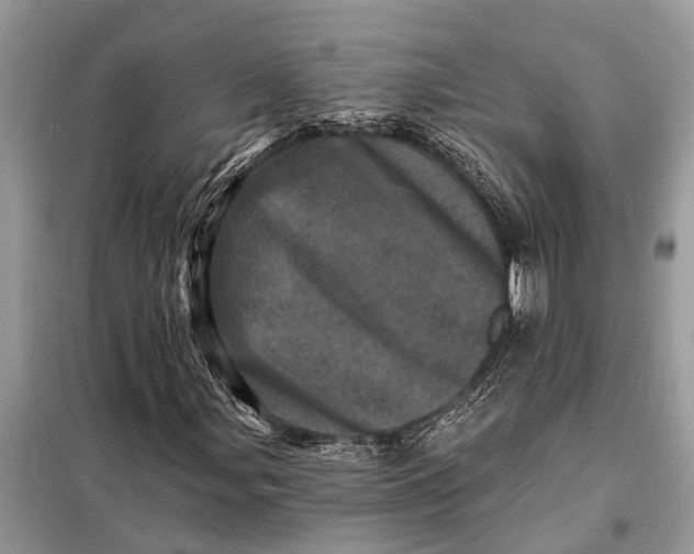 X0000098201107200805081104