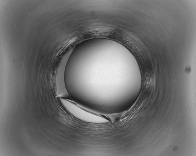 X0000098201108200805081104