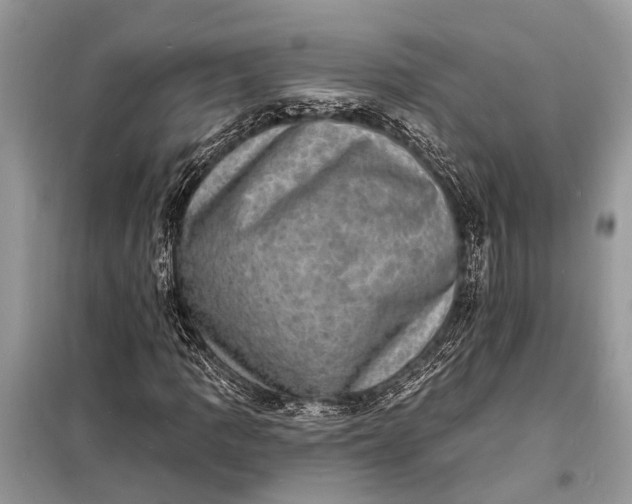 X0000098201109200805081104