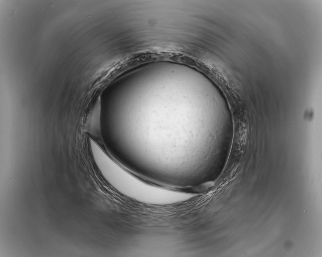 X0000098201110200805081104