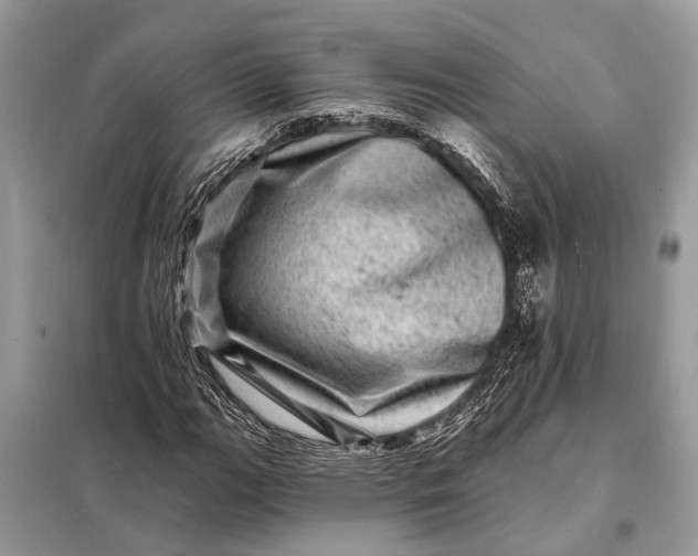 X0000098201111200805081104