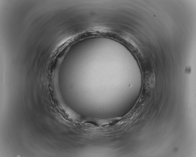 X0000098201112200805081105
