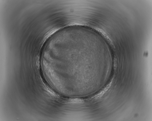 X0000098201113200805081105