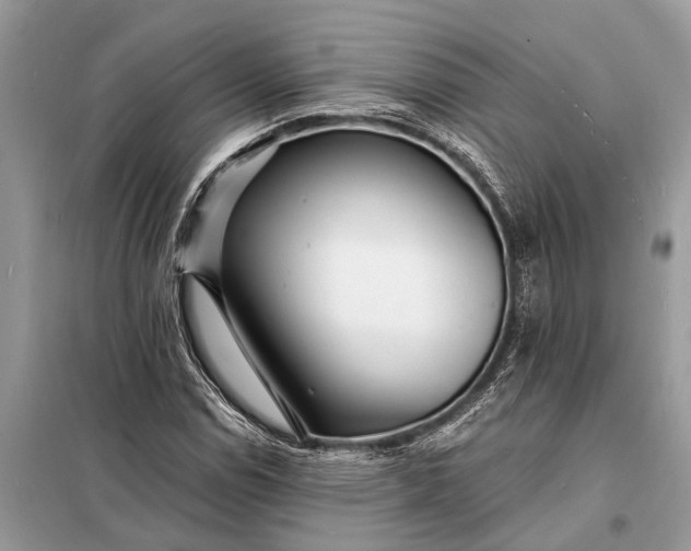 X0000098201114200805081105