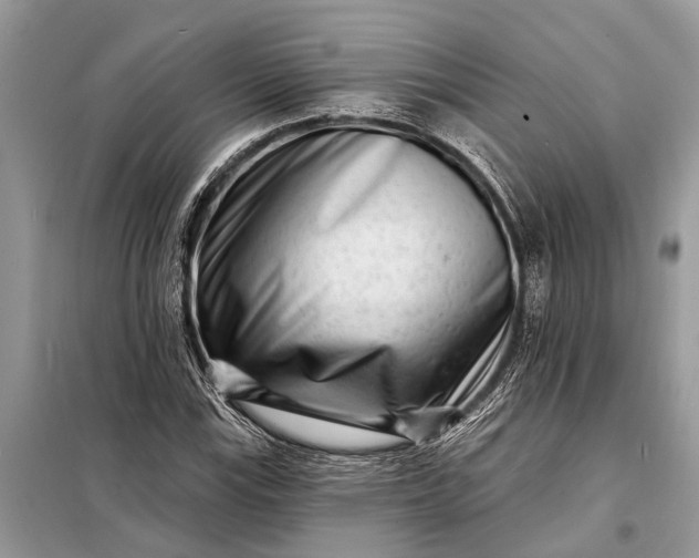 X0000098201115200805081105