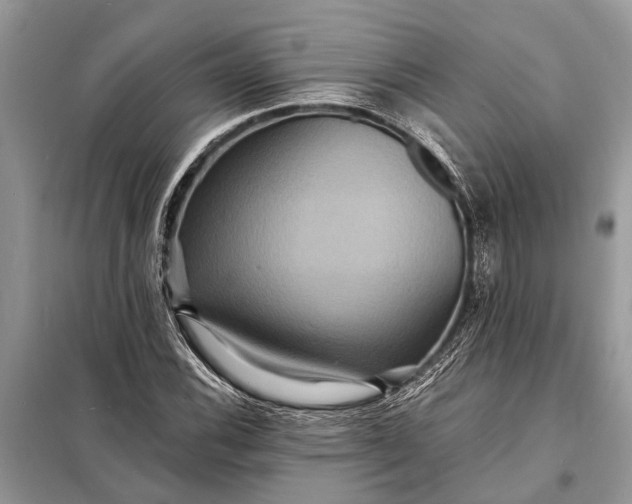 X0000098201116200805081105