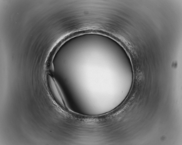 X0000098201118200805081105