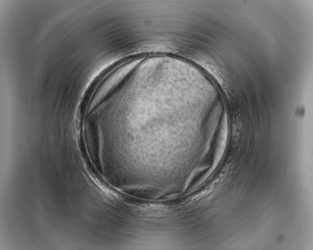X0000098201119200805081105