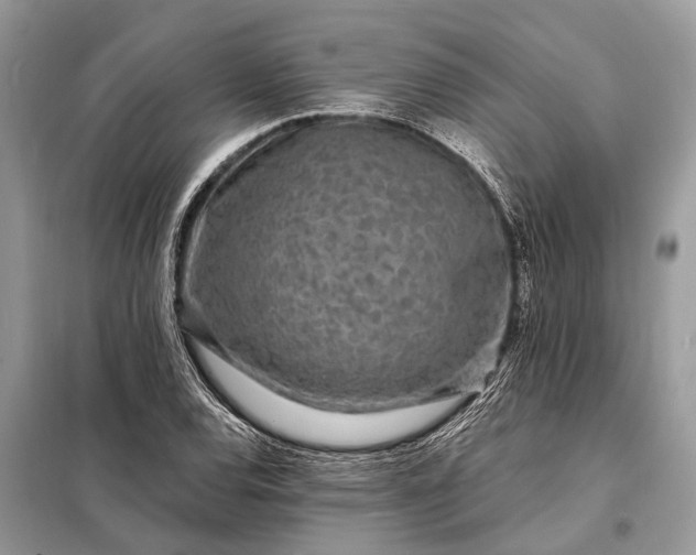 X0000098201120200805081105