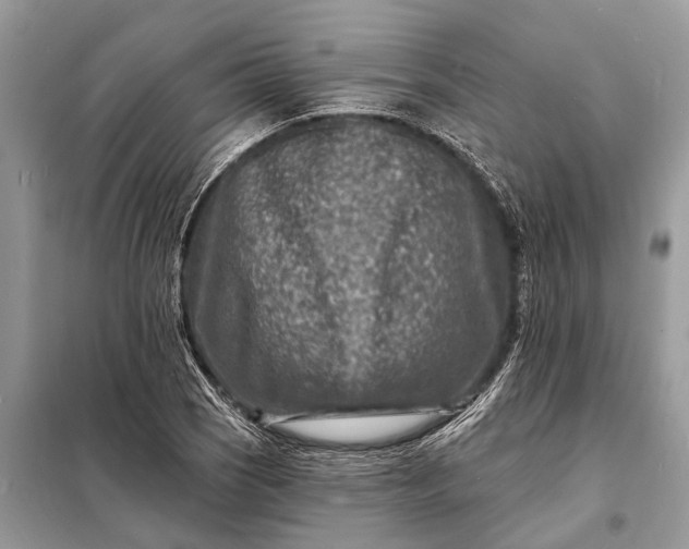 X0000098201121200805081105