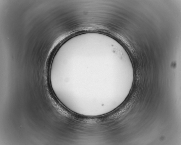 X0000098201122200805081105