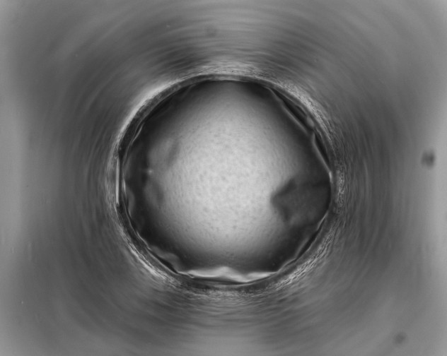X0000098201123200805081105