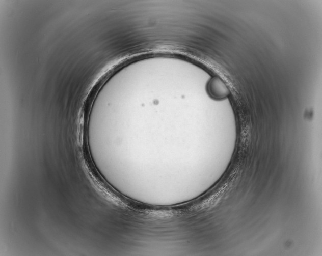 X0000098201126200805081105
