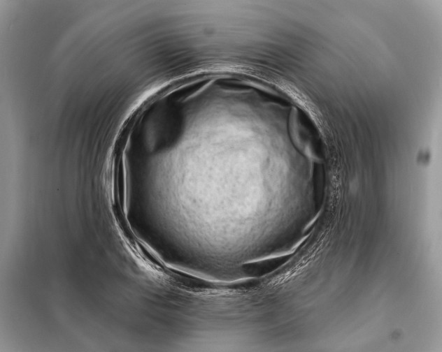 X0000098201127200805081105