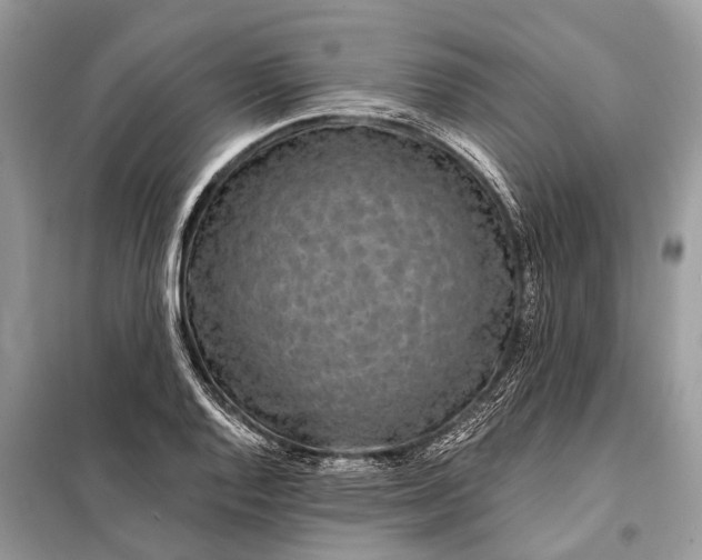 X0000098201128200805081105