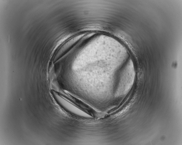 X0000098201129200805081105