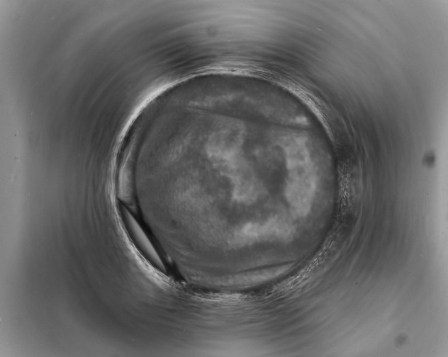 X0000098201131200805081105