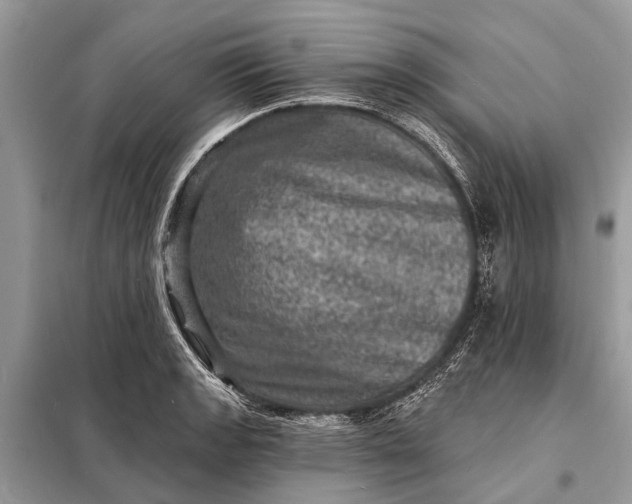 X0000098201133200805081105