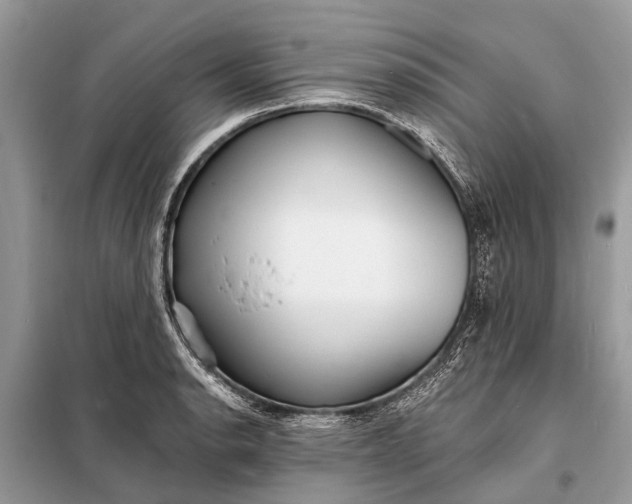 X0000098201134200805081105