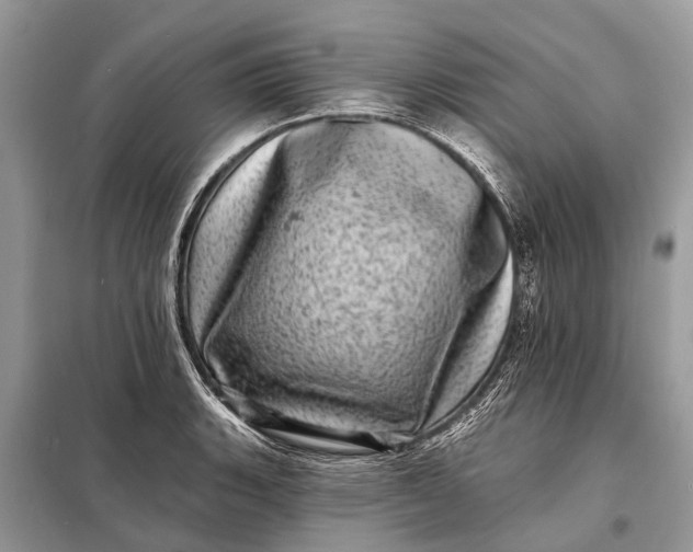 X0000098201135200805081105