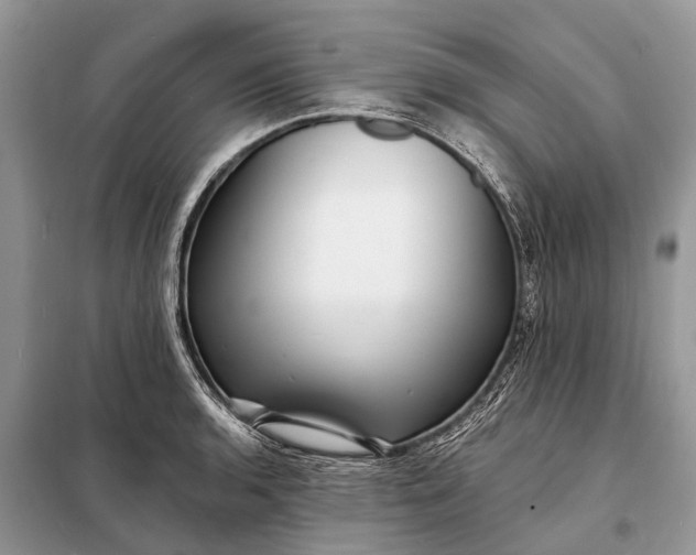 X0000098201136200805081105
