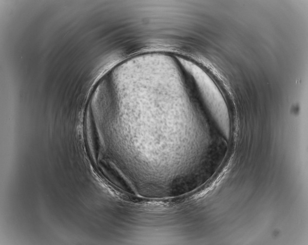 X0000098201137200805081105