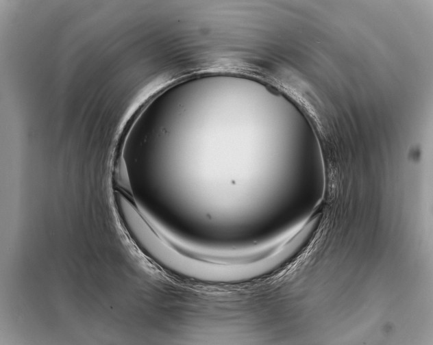 X0000098201138200805081105