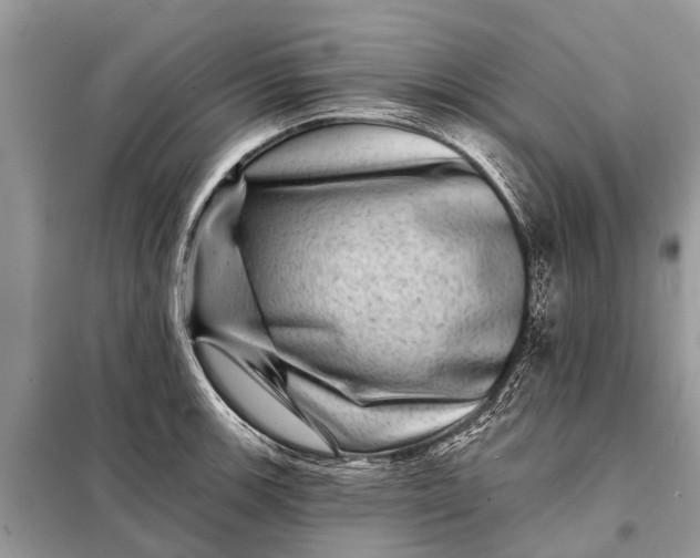 X0000098201139200805081105