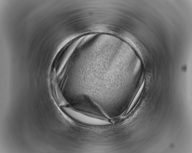 X0000098201141200805081105