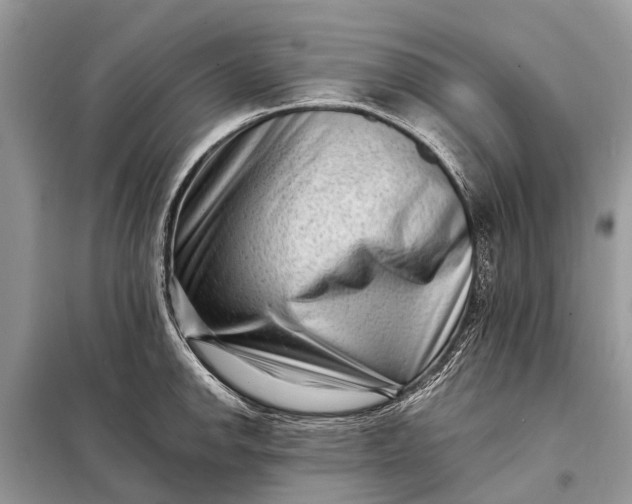 X0000098201142200805081105