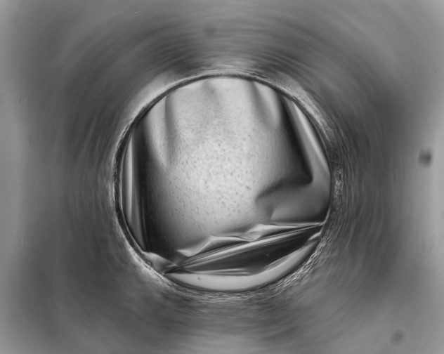 X0000098201143200805081105
