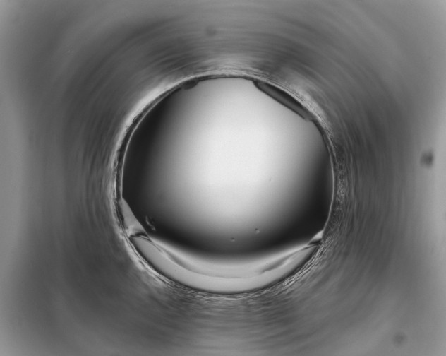 X0000098201144200805081105