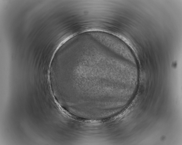 X0000098201145200805081105
