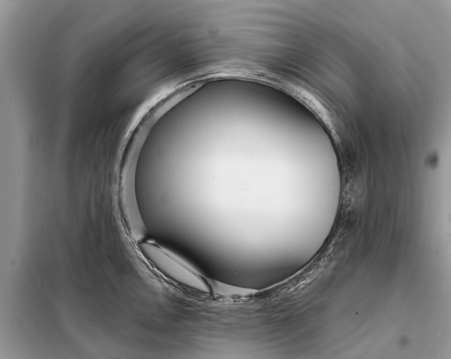 X0000098201146200805081105