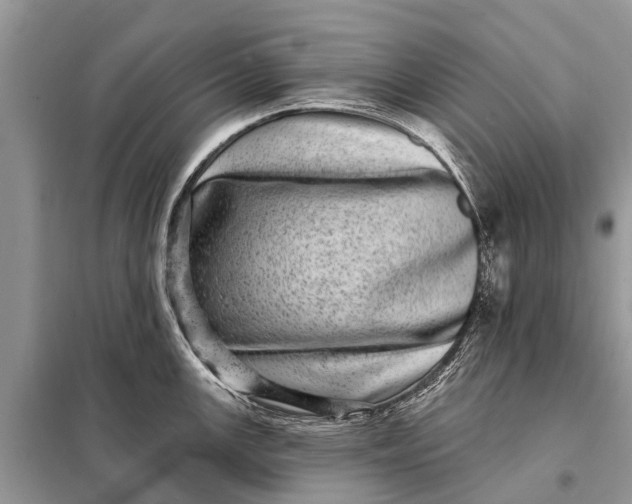X0000098201147200805081105