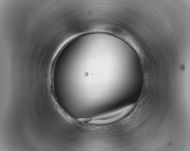 X0000098201148200805081105