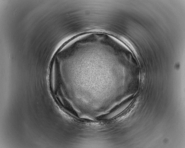 X0000098201149200805081105