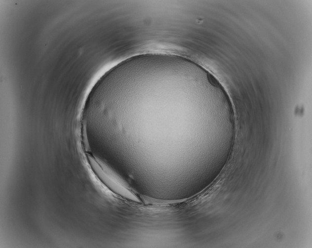 X0000098201152200805081105