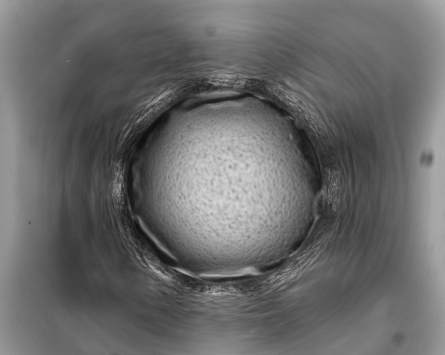 X0000098201154200805081104